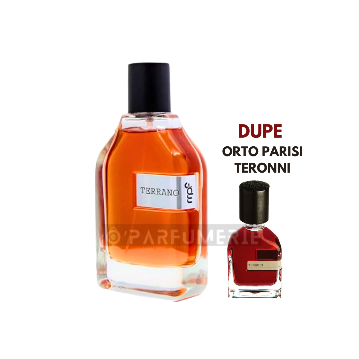 TERRANO EDP 75ML